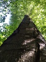 Fisch-Buche-4_Easy-Resize.com_.jpg