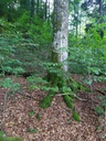 Moscato-Buche-5_Easy-Resize.com_.jpg