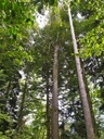 Brausewind-5_Easy-Resize.com_.jpg