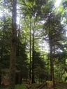Trollheim-easy-resize-2.jpg