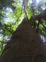Trollheim-easy-resize-3.jpg
