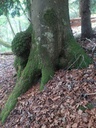 Trollheim-easy-resize-4.jpg