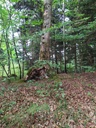Openhouse-easy-resize-4.jpg