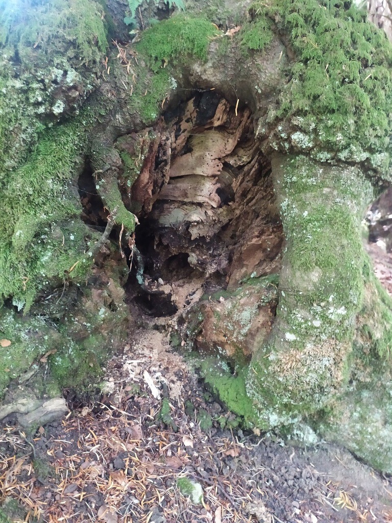 Trollheim-easy-resize-5.jpg
