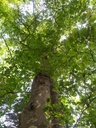 Kaenguru-3_Easy-Resize.com_.jpg
