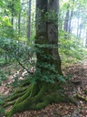 Kaenguru-5_Easy-Resize.com_.jpg