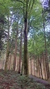 Give-me-five-web-5_Easy-Resize.com_.jpg