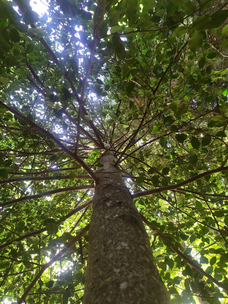 1688817693246_Easy-Resize.com_.jpg