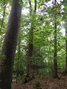 Reduit_Easy-Resize.com-2.jpg