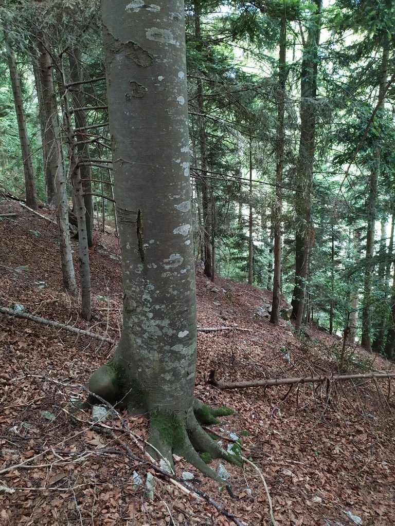 Perlenkette-2_Easy-Resize.com_.jpg