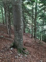 Perlenkette-2_Easy-Resize.com_.jpg