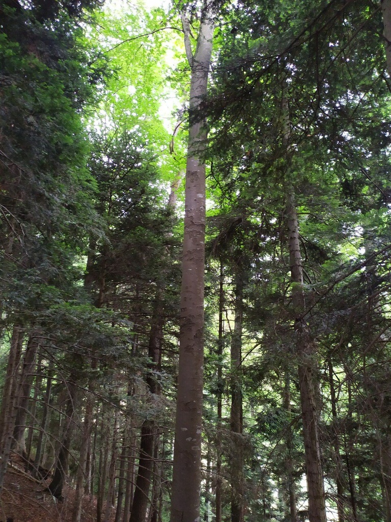 Perlenkette-4_Easy-Resize.com_.jpg
