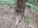 Rumpelstilzchen-2_Easy-Resize.com_.jpg