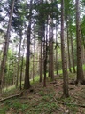 Rumpelstilzchen-4_Easy-Resize.com_.jpg