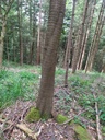 Trippelhelix_Easy-Resize.com-3.jpg