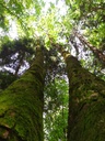 Cornuto-2_Easy-Resize.com_.jpg