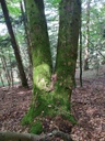 Cornuto-3_Easy-Resize.com_.jpg