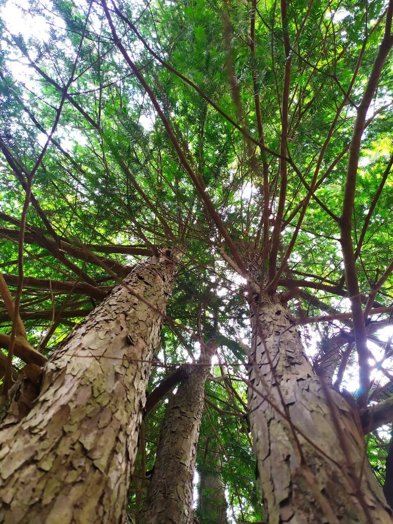 Umarmung-3_Easy-Resize.com_.jpg