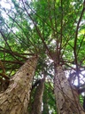 Umarmung-3_Easy-Resize.com_.jpg