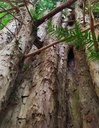 Umarmung-6_Easy-Resize.com_.jpg