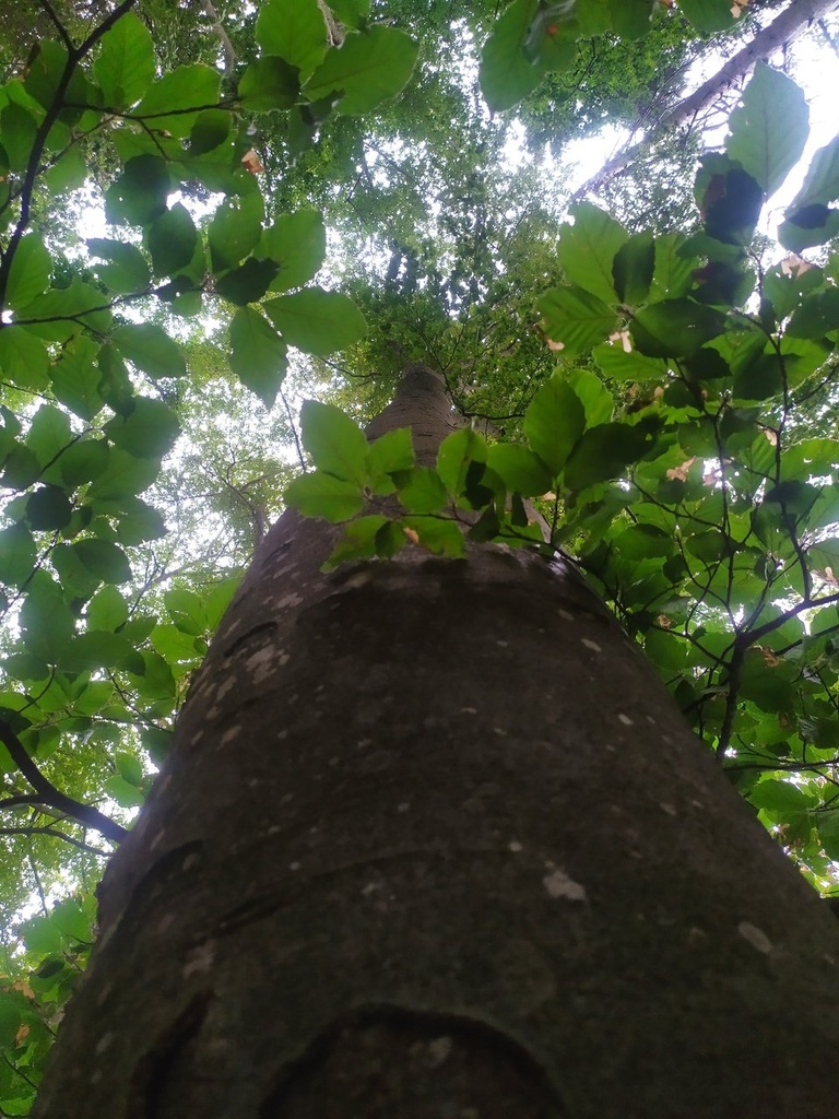 Madagaskar-4_Easy-Resize.com_.jpg