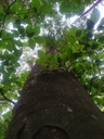 Madagaskar-4_Easy-Resize.com_.jpg