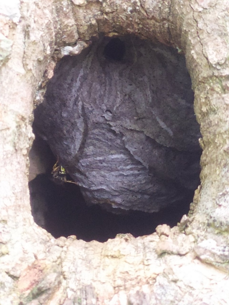 Insektenhotel-4_Easy-Resize.com_.jpg