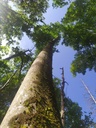Barhocker-3_Easy-Resize.com_.jpg