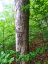 Roestigraben-3_Easy-Resize.com_.jpg