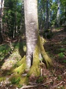 Barhocker-4_Easy-Resize.com_.jpg