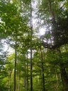 Roestigraben-5_Easy-Resize.com_.jpg