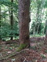 Orecchiette-3_Easy-Resize.com_.jpg
