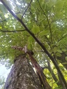 Eng-verbunden_Easy-Resize.com-2.jpg
