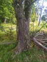 Eng-verbunden_Easy-Resize.com-3.jpg