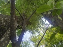 Eng-verbunden_Easy-Resize.com-4.jpg