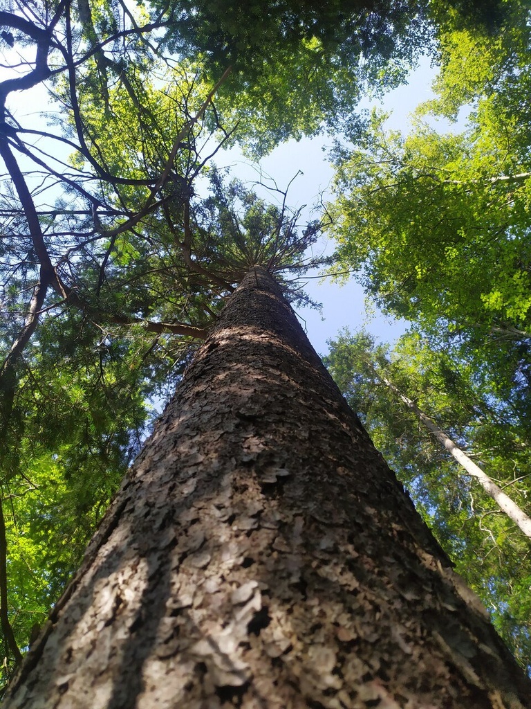 Wurmloch-5_Easy-Resize.com_.jpg