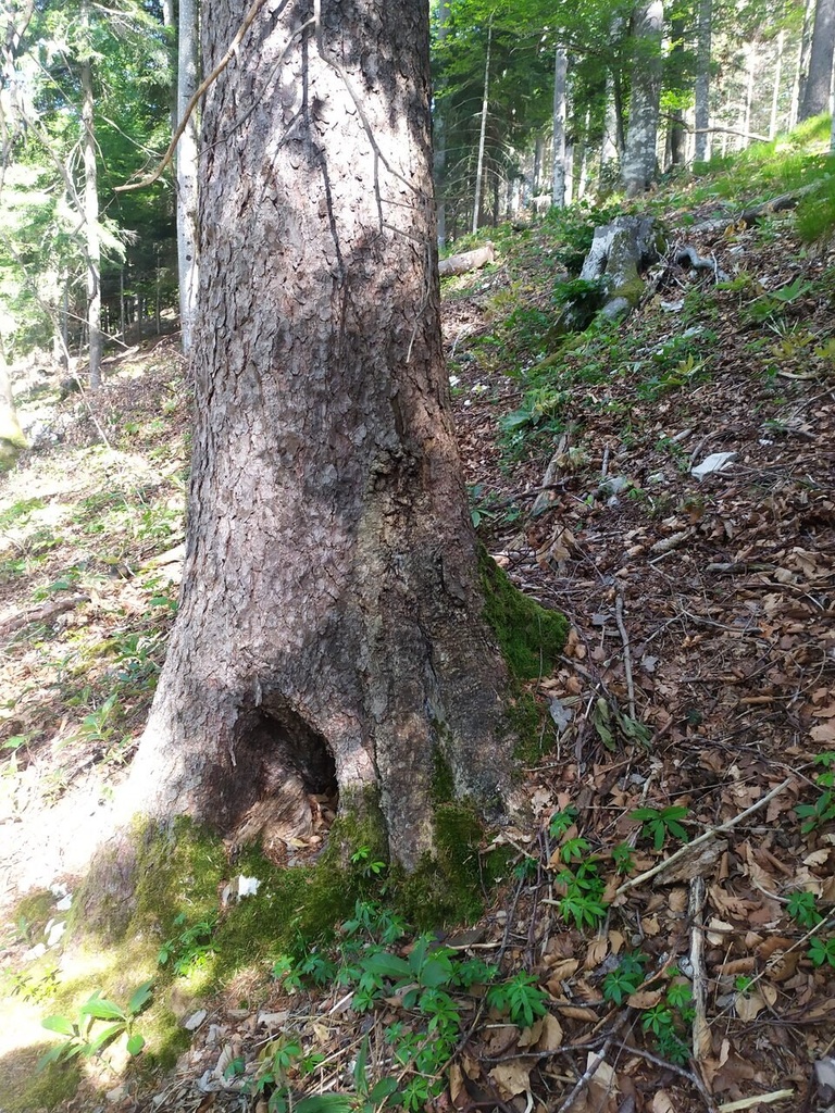 Wurmloch-6_Easy-Resize.com_.jpg