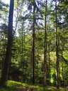 Wurmloch-7_Easy-Resize.com_.jpg