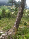 Hoch-empor-4_Easy-Resize.com_.jpg