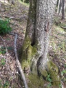 Vogelbad-3_Easy-Resize.com_.jpg