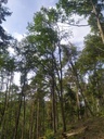 Vogelbad-6_Easy-Resize.com_.jpg
