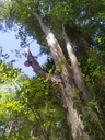 Tamagotschi-4_Easy-Resize.com_.jpg