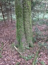 webseite-formschoene-3_Easy-Resize.com_.jpg