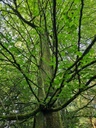 webseite-formschoene-4_Easy-Resize.com_.jpg