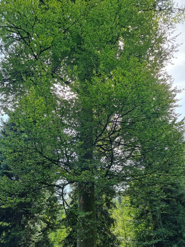 20230824_140600_Easy-Resize.com_.jpg
