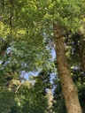 Vorsprung-1-3_Easy-Resize.com_.jpg
