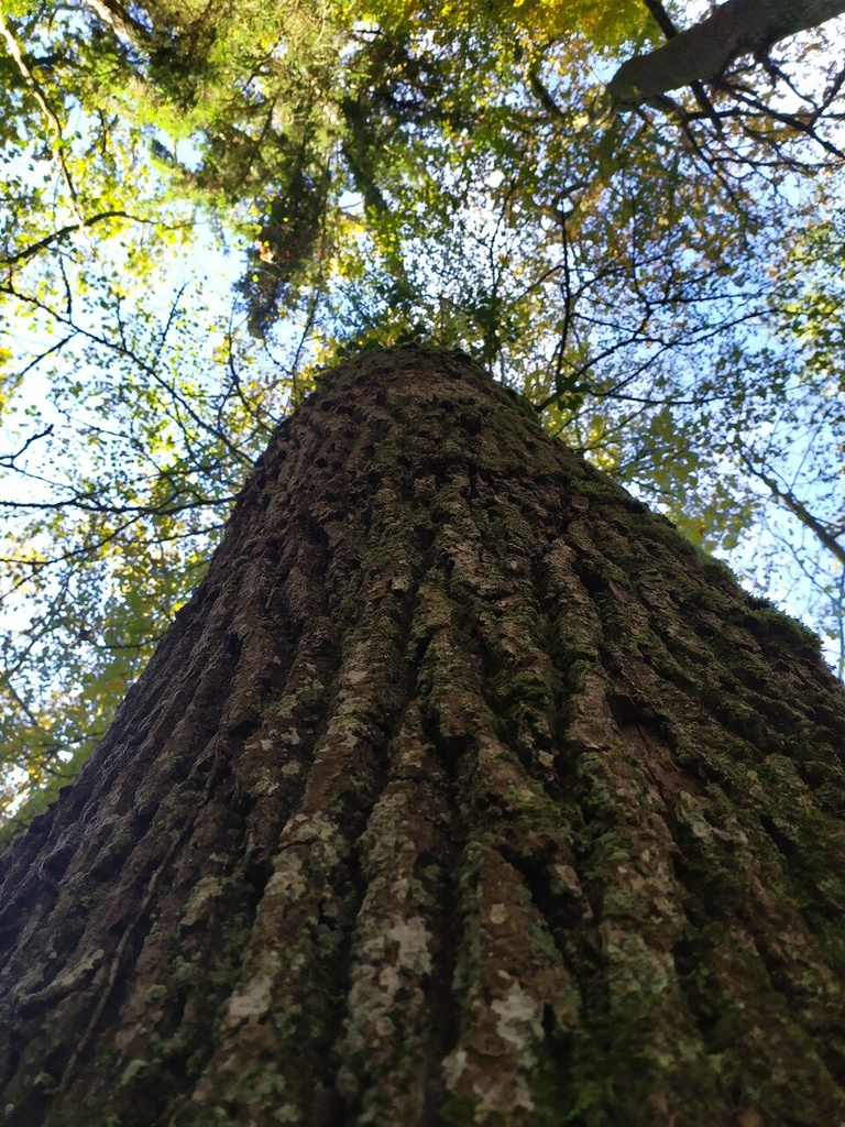 1699476389951_Easy-Resize.com_.jpg
