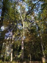 1699465314567_Easy-Resize.com_.jpg