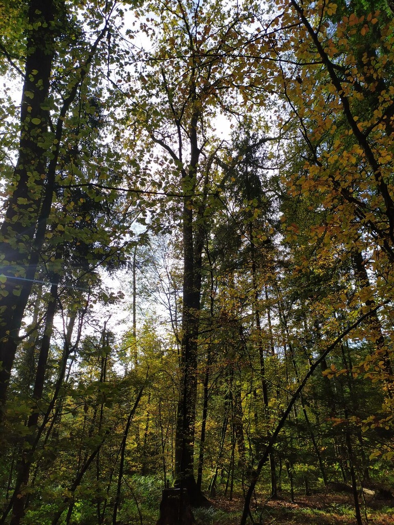 1699470172173_Easy-Resize.com_.jpg