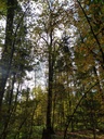 1699470172173_Easy-Resize.com_.jpg